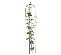 Filatura Della Pianta - Piante Da Arrampicata Alla Griglia All'aperto | Obelisco Di Piante Da Giardino Ad Alto, Cornice -supporto Da Giardino Ad Alte Prestazioni, Supporto Per Il Supporto Del