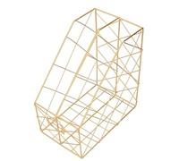 File rivista Desk File Organizzatore Rack Simple Geometry Metal Salvaling Document Soluzione di archiviazione per la biblioteca della scuola per la scuola materiale Ironico (2 compartimenti oro)
