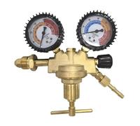 Filettatura bronzea commerciale della sostanza /4 del portone di riduzione della pressione per i sistemi di taglio della saldatura del regolatore di saldatura con il portone di protezione