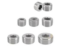 Filettatura maschio 1/8 1/4 3/8 1" Femmina Bloccaggio Acciaio Inox Tappo a esagono incassato Tappo esagonale interno Raccordo for tubo olio/acqua(Female Blocking G1,1 PCS)