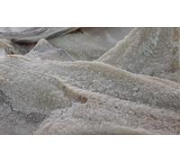 Filetto salato baccalà