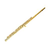 FILFEEL Flauto C 16 Tasti Flauto in Cupronichel a Foro Chiuso con Chiave E Divisa E Chiave G con Offset Ergonomico per Principianti E Studenti Adulti - Finitura Dorata Include Kit Custodia E