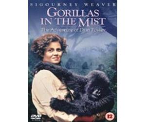 FILM DVD - GORILLA NELLA NEBBIA - Nuovo