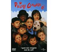 FILM DVD - PICCOLE CANAGLIE - Nuovo