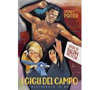 Film - Gigli Del Campo (i) - Dvd (restaurato in hd)