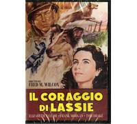 Film - Il Coraggio Di Lassie - Dvd