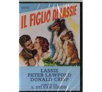 Film - Il Figlio Di Lassie - Dvd