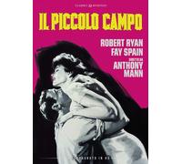 Film - Il Piccolo Campo - Dvd (restaurato in hd)