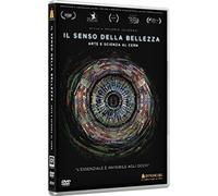 Film - Il Senso Della Bellezza - Arte E Scienza Al Cern - Dvd