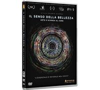 Film - Il Senso Della Bellezza - Arte E Scienza Al Cern - Dvd