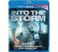 Into The Storm [Edizione: Regno Unito] [Edizione: Regno Unito]