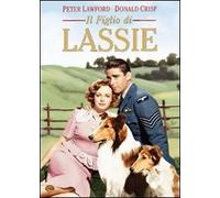 Film - Lassie - Il Figlio Di Lassie - Dvd