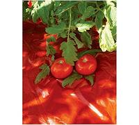 Film per pacciamatura, Pellicola pacciamante rossa da 5~50 m, pellicola for la crescita di colture orticole più efficienti, pellicola for la cura delle piante in serra, 1 pz.(15Meters)