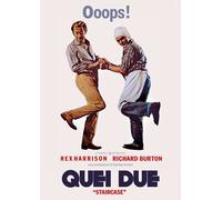 Film - Quei Due - Dvd