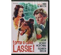 Film - Torna A Casa Lassie - Dvd
