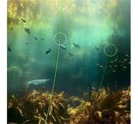 Filo da Pesca Lenza da pesca invisibile 220 m, lenza in fluorocarbonio for carpe maculate, maculata super resistente, affondante in nylon for la a mosca(1.0-0.165mm-6.5lb)