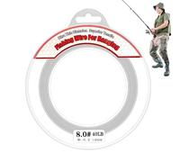 Filo da pesca trasparente per il fai da te,Filo da pesca trasparente forte | Corda in nylon per appendere,Filo invisibile per appendere da 328 piedi, supporti per corda forti da 50 libbre p