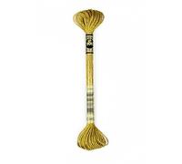 Filo da ricamo Moulinè DMC satin light effects color variations matassina ricamo punto croce vari colori (E3852 Giallo scuro, LIGHT EFFECTS)