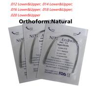 Filo dell'arco dentale orthos super elastico Niti rotondo Ovoidale/Forma nature
