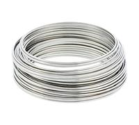 Filo di Acciaio Inox 304 2mm 16.4Ft Morbido Filo di Acciaio Solido Nudo Filo di Acciaio Inox Singolo Filo di Ferro Morbido Filo di Ferro Antiruggine Artigianato Filo