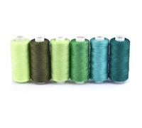 Filo di ricamo, Filo da cucito for ricamo multicolore 6 pezzi, poliestere 400 iarde, for uso manuale e a macchina(Green series)