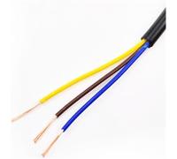 filo elettrico, Cavo di alimentazione in rame a 2 e 8 conduttori, metri in gomma siliconica super morbida flessibile, guaina for cavi da 25 AWG 10, dispositivo saldatura(3 Cores,15AWG(1.5mm2))