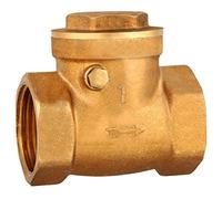 Filo femminile Valvola di controllo dell'altalena in ottone, 1pc DN25 Frequenza femmina Brass non ritorno Valvola di ritegno 232 psi Prevenire il parametro d'acqua