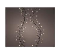 Filo luci Kaemingk Microled con giochi luce 496716