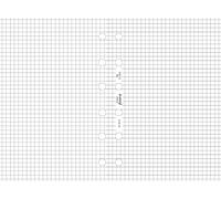 Filofax Pocket White Quadrille Notepaper