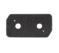 Filterwelt® Filtro per asciugatrice - adatto per Bosch Siemens Constructa Balay 12007650 - Filtro in schiuma per essiccatore a pompa di calore e essiccatore a condensatore, 228 x 128 mm