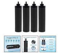 Filtri ai carboni attivi progettati per un'efficace rimozione dei sedimenti 4 co