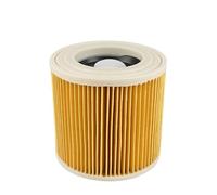 Filtri della polvere di aria sostitutiva Borse for cartuccia for aspirapolvere karcher Hepa Filtro WD2250 WD3.200 MV2 MV3 WD3(KTT056)