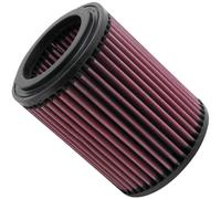 Filtri K&N E-2429 Filtro Aria Adatto Per 02-06 Civic CR-V RSX
