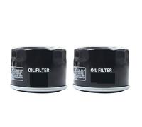 Filtri olio per moto Adatto Per YAMAHA SW10SD37 SW10XL37 SW10XL41 SW10XS VK10 RS YFM700 YFM700F YFM700K Parti Del Motore Filtri A Griglia Dell'olio(2 PCS)
