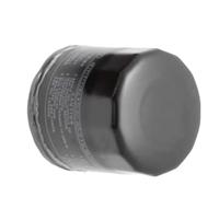 Filtri olio per moto Filtro Dell'olio Adatto Per Benda Chinchilla 450 Per Napoleon Accessori Per Motociclette