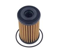 Filtri Trasmissione Filtro di trasmissione adatto per Geely Emgrand GS X3 Adatto per Jetour X70 Plus Adatto per Chery Tiggo 2 4 7 8 Pro 5x 3x Max ARRIZO 6 DR(External Filter)