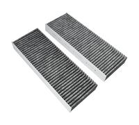 Filtro a carbone AllSpares adatto per BAKFS e BIU/BHU/BFIU (2 pezzi)