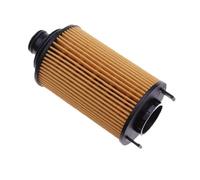 filtro abitacolo Adatto per Hunter Plus per Landtrek Pickup per KaiCheng F70 1109190-BU02 8119030-BU03 Set di filtri olio per filtro aria(Oil filter)