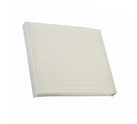 Filtro Abitacolo ai Carboni Attivi Filtro aria adatto per Nissan Altima Maxima Murano Sentra X-Trail 00-2008 94857 PC5530 PBC35530 CAF1792M FP2141 CF1063 CF147 filtro abitacolo(1PC,Sentra 2000-2006)