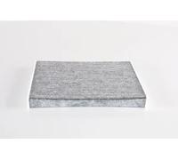 Bosch R5551 - Filtro abitacolo ai carboni attivi