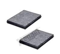 Filtro Attivo In Carbonio HENGST Per BMW 5