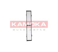 Filtro abitacolo Filtro aria fresca F410601 KAMOKA per ALPINA BMW