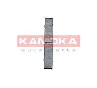 Filtro abitacolo Filtro aria fresca F505901 KAMOKA per ALPINA BMW