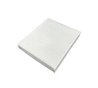 Filtro Abitacolo Per Skyworth EV6 Per Skywell ET5 Per Haima 8S Per Enovate ME7 Aria Condizionata Attivata Dai Carboni Attivi Filtri Auto