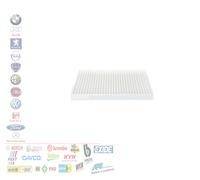 Wix Filters Filtro abitacolo WP2004 per Renault Koleos I
