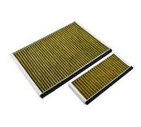 Filtro al carbone CleanAir Plus adatto per Bosch 11041790 / DWZ0AK0A0 (2 pezzi)