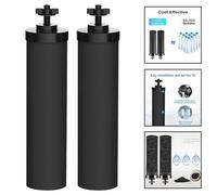 Filtro al carbonio con guscio di cocco naturale per un'esperienza di acqua potab