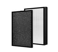 Filtro antiallergico al carbone attivo 2 in 1 di ricambio XD6220U0 adatto for PU2530 PU2532U0, compatibilità Rowenta Pure Air Essential