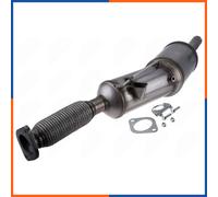 Filtro antiparticolato EURO5 per RENAULT | DPF-RE-006, 097-903