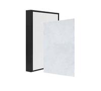 Filtro Antipolvere E Polline AH300, Compatibile Con BONECO, H300 H400 Riduce Gli Odori Filtro Purificatore D'aria